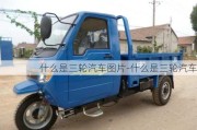 什么是三輪汽車圖片-什么是三輪汽車