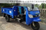 三輪汽車是指哪種車-c1能開的三輪車有哪些