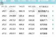 比亞迪新能源汽車行業(yè)分析報(bào)告-比亞迪新能源汽車行業(yè)分析報(bào)告