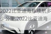 2022比亞迪海豚續(xù)航多少公里,2022比亞迪海豚