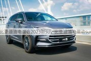 比亞迪油電混合2023款suv-比亞迪油電混動suv