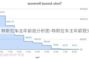 特斯拉車主年齡段分析圖-特斯拉車主年齡段分析