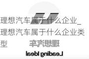 理想汽車屬于什么企業(yè)_理想汽車屬于什么企業(yè)類型