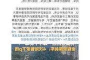 潮州特斯拉失控-潮州特斯拉失控事故調查