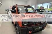 2萬(wàn)元以下電動(dòng)小汽車能買嗎-2萬(wàn)元以下電動(dòng)小汽車