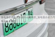 油電混合動力汽車是什么牌照的_油電混合動力汽車是什么牌照