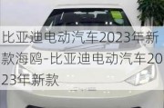 比亞迪電動(dòng)汽車2023年新款海鷗-比亞迪電動(dòng)汽車2023年新款