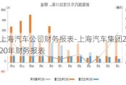 上海汽車公司財務(wù)報表-上海汽車集團2020年財務(wù)報表