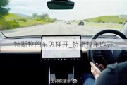 特斯拉的車怎樣開_特斯拉車咋開