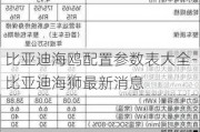 比亞迪海鷗配置參數(shù)表大全-比亞迪海獅最新消息