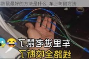 汽車防鼠最好的方法是什么_車上防鼠方法