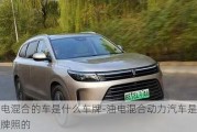 油電混合的車是什么車牌-油電混合動(dòng)力汽車是什么牌照的