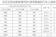 武漢買那些新能源汽車-武漢新能源汽車上牌政策