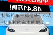 特斯拉車主都是些什么人-特斯拉的車主的層次