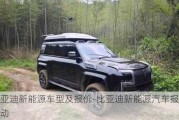 比亞迪新能源車型及報價-比亞迪新能源汽車報價純電動