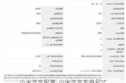 小米汽車配置_小米汽車車身尺寸