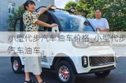 小型代步汽車油車價(jià)格_小型代步汽車油車