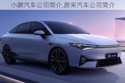 小鵬汽車公司簡介,蔚來汽車公司簡介