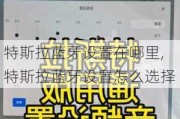 特斯拉藍牙設置在哪里,特斯拉藍牙設置怎么選擇