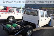 雙燃料汽車是新能源汽車嗎_雙燃料汽車有那些