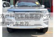 雙燃料汽車有哪些款-雙燃料汽車推薦