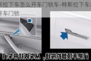 特斯拉下車怎么開車門鎖車-特斯拉下車怎么開車門鎖