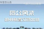 汽車以舊換新政策車型,汽車以舊換新政策車型怎么選