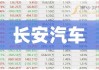 2024未來可能漲100倍的股票,長安汽車股份股吧