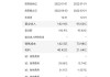 理想汽車財務(wù)報表分析論文怎么寫-理想汽車財務(wù)報告