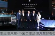 中國自主品牌汽車-中國自主品牌汽車能登頂世界嗎