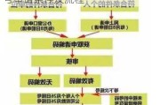 北京汽車搖號申請資格_北京汽車搖號申請條件及流程