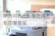 華為問界m5-華為問界汽車在哪里買