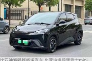 比亞迪海鷗新能源汽車,比亞迪海鷗黑武士mini