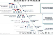 什么是特斯拉-什么是特斯拉定理