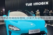 小米汽車還有其他車型嗎_小米汽車會是什么樣