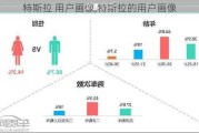 特斯拉 用戶畫像,特斯拉的用戶畫像