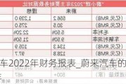 蔚來(lái)汽車2022年財(cái)務(wù)報(bào)表_蔚來(lái)汽車的財(cái)務(wù)報(bào)表2020年