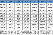 理想汽車財務報表分析報告-理想汽車盈利情況