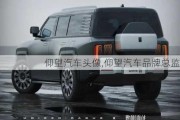 仰望汽車頭像,仰望汽車品牌總監(jiān)