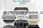 眉山汽車dvd音響維修店_眉山汽車dvd音響維修