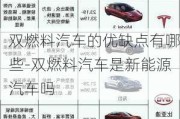 雙燃料汽車的優(yōu)缺點(diǎn)有哪些-雙燃料汽車是新能源汽車嗎