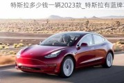 特斯拉多少錢(qián)一輛2023款_特斯拉有藍(lán)牌車(chē)嗎