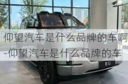 仰望汽車是什么品牌的車啊-仰望汽車是什么品牌的車