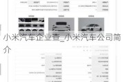 小米汽車企業(yè)查_小米汽車公司簡介