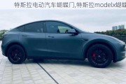 特斯拉電動(dòng)汽車蝴蝶門,特斯拉modelx蝴蝶門