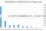 比亞迪汽車銷量數(shù)據(jù)分析_比亞迪汽車銷量