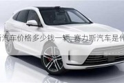 賽力斯汽車價格多少錢一輛_賽力斯汽車是什么品牌