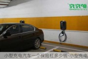 小型充電汽車一個(gè)保險(xiǎn)杠多少錢-小型充電汽車