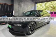 極氪001是油車還是電車,極氪001是純電動(dòng)嗎