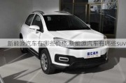 新能源汽車有哪些價格,新能源汽車有哪些suv